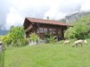 Bilde 2
