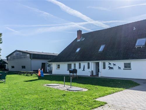 Ferielejlighed - 3 personer -  - Böhler Weg - 25826 - St. Peter-Ording