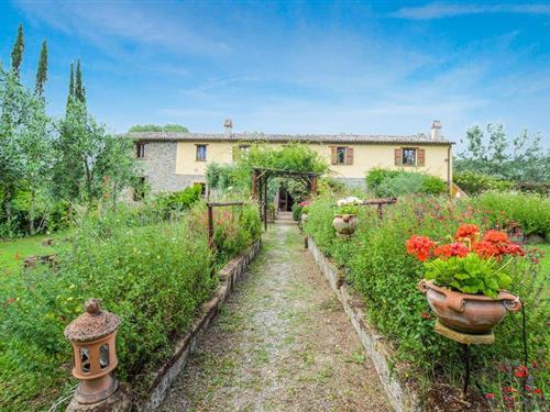 Ferielejlighed - 10 personer -  - Strada della Scarpetta - 05016 - Ficulle