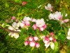 Bild 33