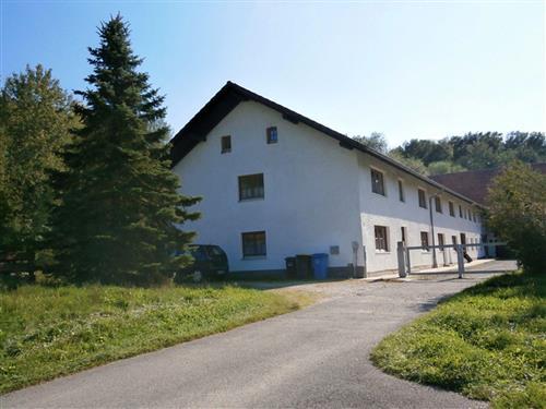 Feriehus / leilighet - 3 personer -  - Steinberg - 94137 - Bayerbach