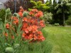 Bild 21 - Aussen