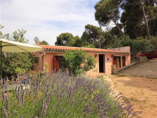 Ferielejlighed - 3 personer -  - Slavojna - 51551 - Veli Losinj