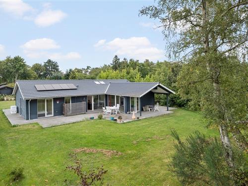 Sommerhus - 9 personer -  - Bøgevangen - Munkerup - 3120 - Dronningmølle