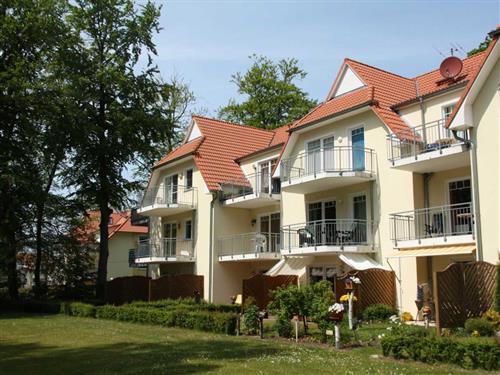 Ferieleilighet - 4 personer -  - Buchenkampweg - 18181 - Seeheilbad Graal-Müritz