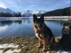 Bild 10