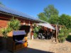 Bild 15