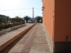 Bilde 12