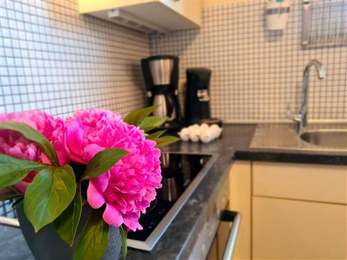 Ferienwohnung - 4 Personen -  - Garten, Grill, Parkplatz, Hühnerhof, Rad- und Wanderwege - 18230 - Biendorf / Gersdorf