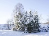 Bild 44