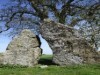 Image 38