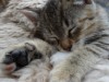 Bild 16