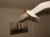 Bild 24