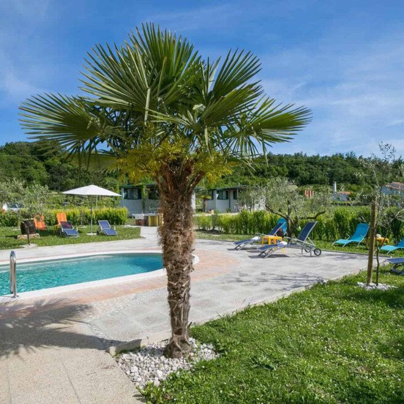 Mobilehome - 4 personer -  - Kapelica - Labin-Kapelica - 52220 - Labin