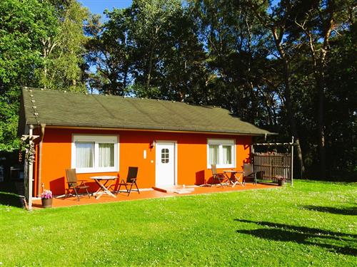 Ferieleilighet - 2 personer -  - Bergstraße - 17459 - Loddin / Kölpinsee