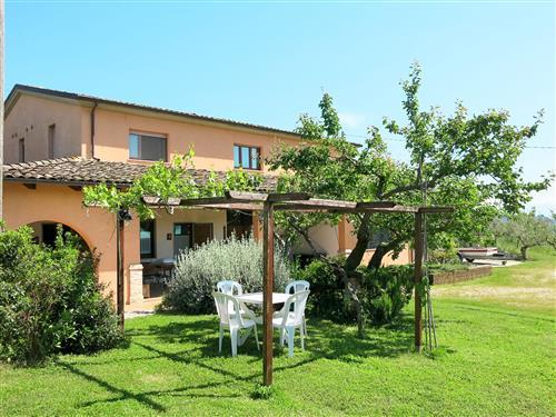 Holiday Home/Apartment - 9 persons -  - Collecorvino - 65010