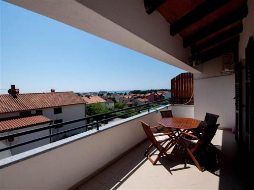 Ferieleilighet - 2 personer -  - Novigrad (Istra) - 52466