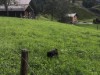 Bild 16 - Aussen