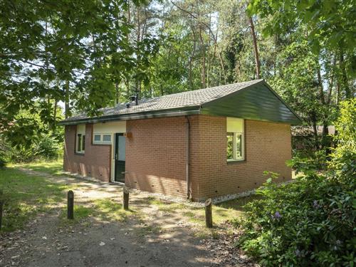 Holiday Home/Apartment - 18 persons -  - Hoge Bergweg - 7361 GS - Beekbergen