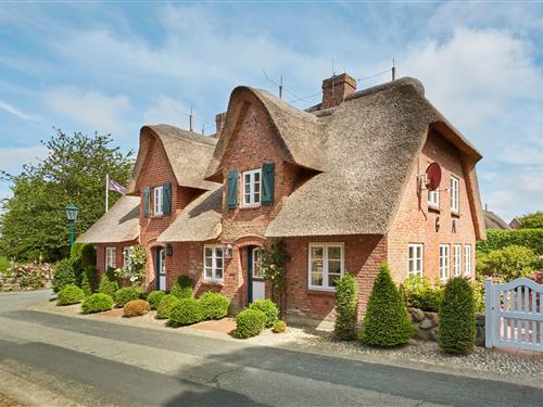 Sommerhus - 3 personer -  - Buurnstrat - 25938 - Oevenum