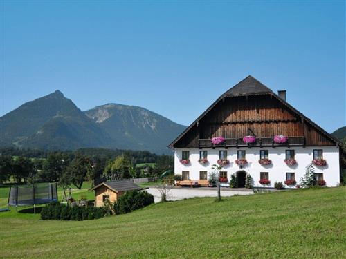 Holiday Home/Apartment - 4 persons -  - Weinbach - 5360 - St. Wolfgang Am Wolfgangs