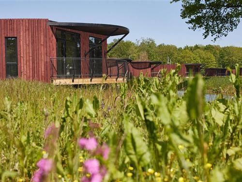 Bungalow - 4 personen -  - 7640 - Antoing