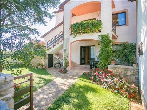 Ferienhaus - 6 Personen -  - 52466 - Novigrad