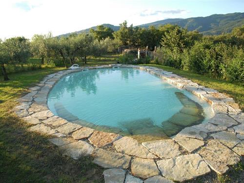 Ferienhaus - 8 Personen -  - 52044 - Cortona