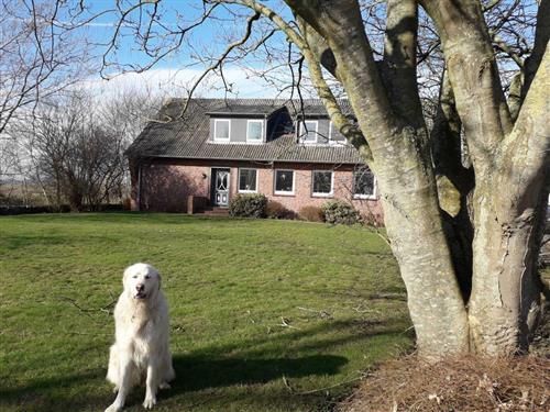 Bondegård - 5 personer -  - Alkersumer Stieg - 25938 - Nieblum