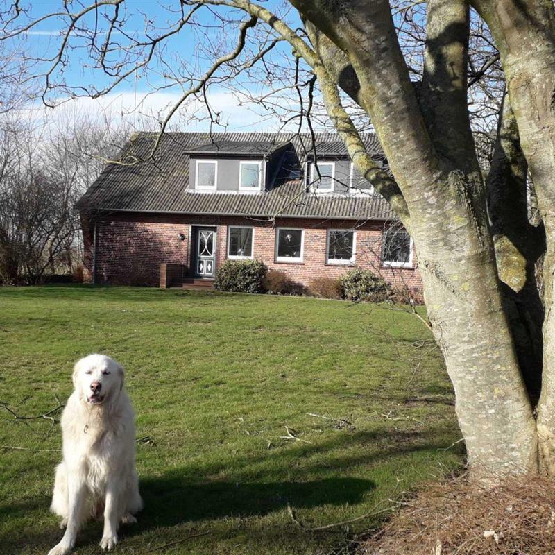 Bondegård - 5 personer -  - Alkersumer Stieg - 25938 - Nieblum