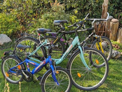 Semesterlägenhet - 2 personer -  - Seesternweg - 18181 - Graal-Müritz