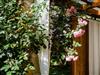 Bilde 59