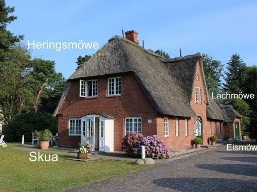 Ferielejlighed - 4 personer -  - Strunwai - 25946 - Nebel