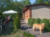 Bild 11 - Ude