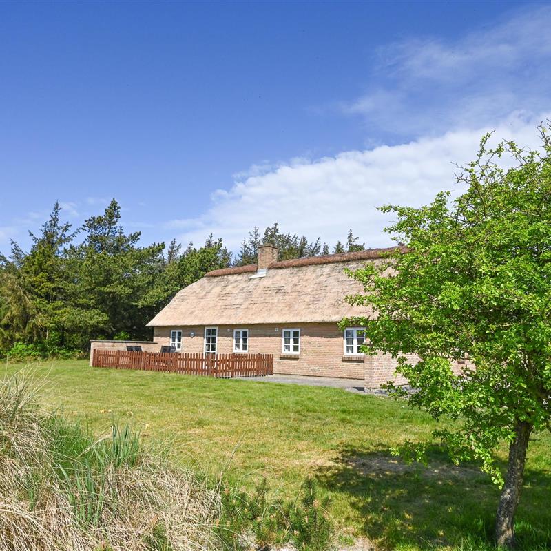 Ferienhaus - 6 Personen -  - Tyttebærvej - Vedersö Klit - 6990 - Ulfborg