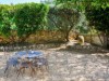 Image 37