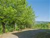 Image 36 - Outside