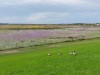 Bild 14