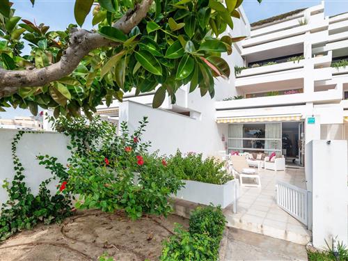 Ferielejlighed - 4 personer -  - 07400 - Port D'alcúdia, Illes Bal