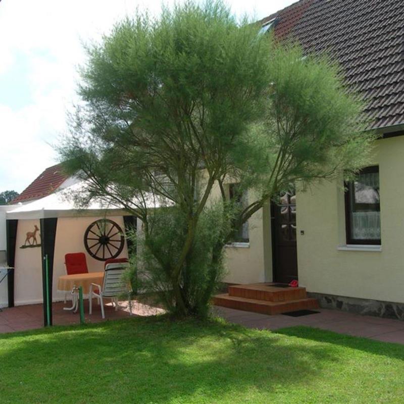 Ferielejlighed - 4 personer -  - Fürstenberger Weg - 17255 - Wesenberg