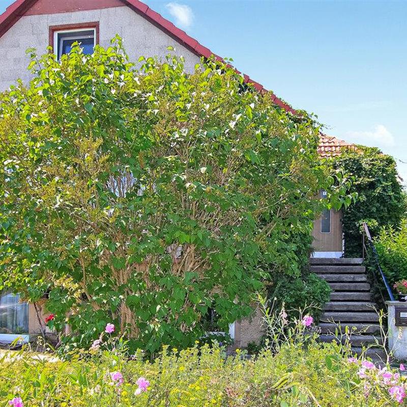 Ferielejlighed - 3 personer -  - Müritzstraße - 17192 - Klink