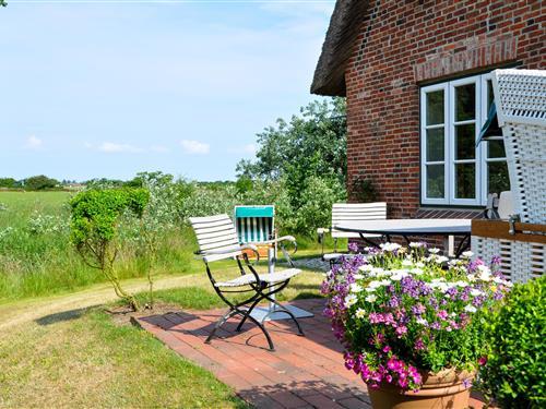 Ferieleilighet - 4 personer -  - Poolstrich - 25938 - Hedehusum