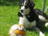 Bild 15