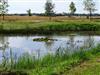 Billede 12 - Udsigt over vand