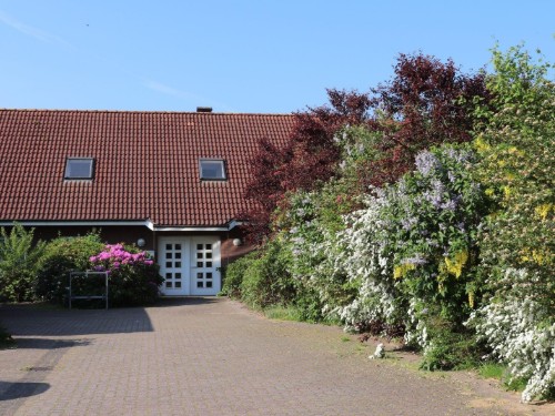 Ferielejlighed - 2 personer -  - Osterkoogstraße - 25845 - Nordstrand