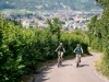 Bild 71