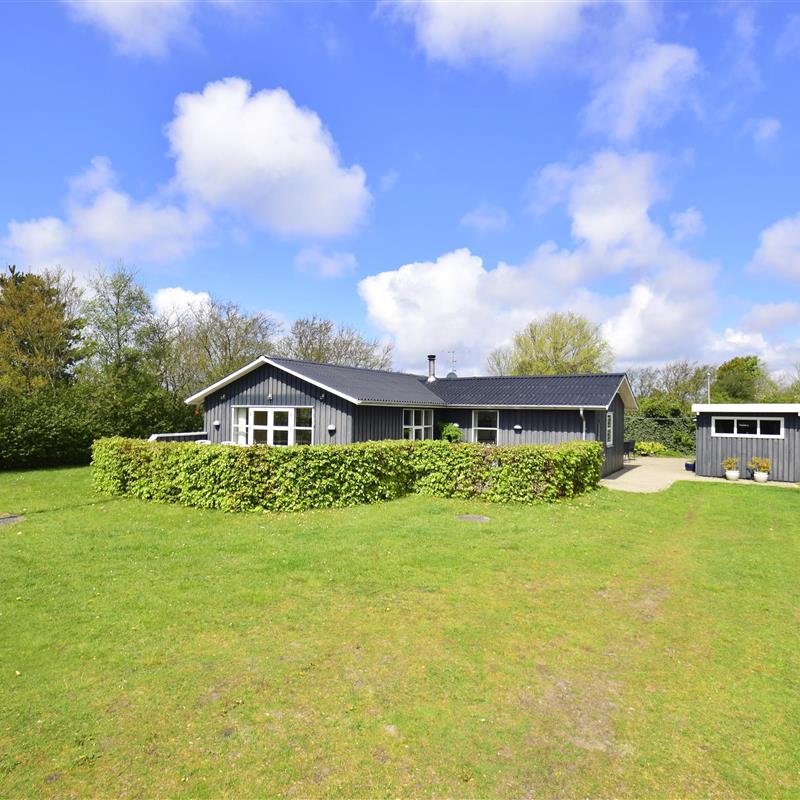 Ferienhaus - 6 Personen -  - Bellisvej - Nr. Hede Vest - 6990 - Ulfborg