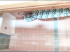 Bild 6 - Innen