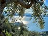 Bilde 45