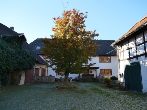 Sommerhus - 4 personer -  - 38667 - Bad Harzburg \/ Westerode
